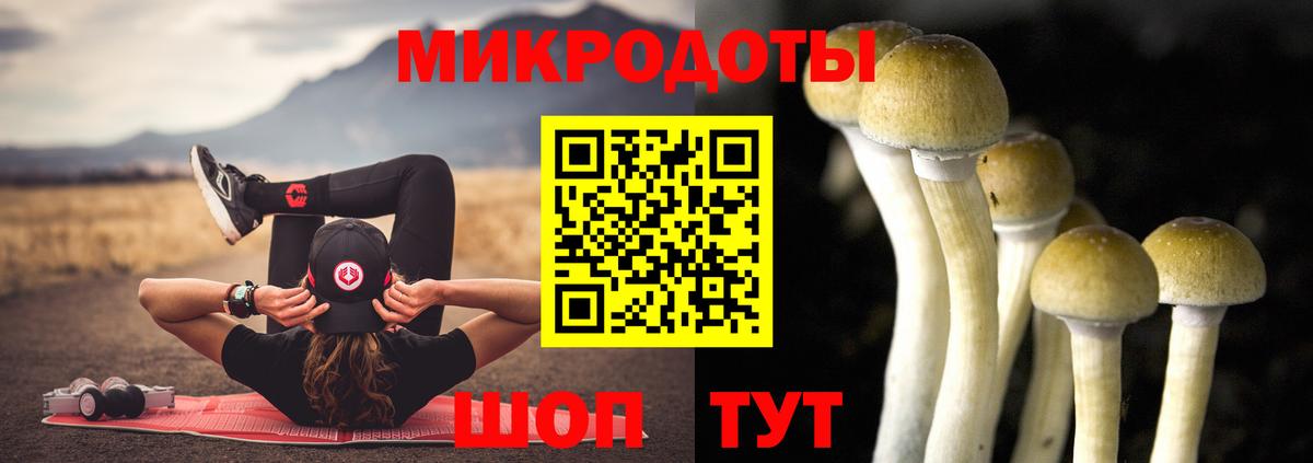 Борисоглебск  Псилоцибиновые грибы GOLDEN TEACHER  Галлюциногенные грибы ЛСД  Вход с VPN 